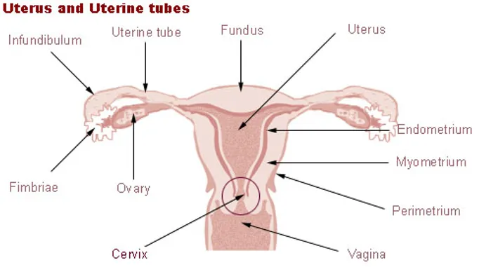 Arete Health Blog Featured Image 04